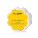 Spongellé - Sweet Patchouli Daisy Spongette