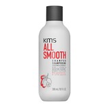 ALL SMOOTH SHAMPOO 300ml ©