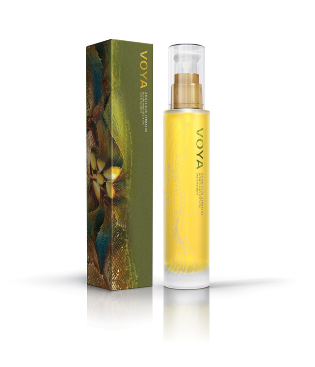 Angelicus Serratus Body Oil 