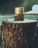 VOYA Effervesance Nourishing Sugar Scrub