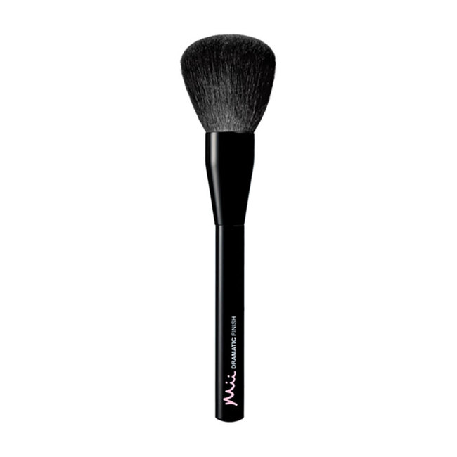 Dramatic Powder Finishing Brush Boxed