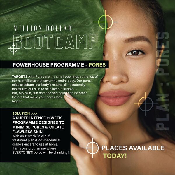 Million Dollar Pores Bootcamp