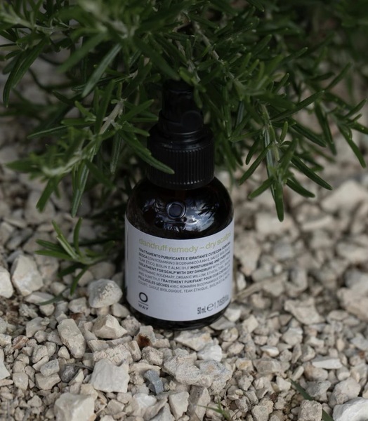 Dandruff Remedy - Dry Scalps 