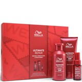 Ultimate Repair Gift set