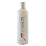 ICON FULLY Antioxidant Shampoo 250ML
