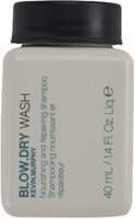 Blow Dry Wash Mini
