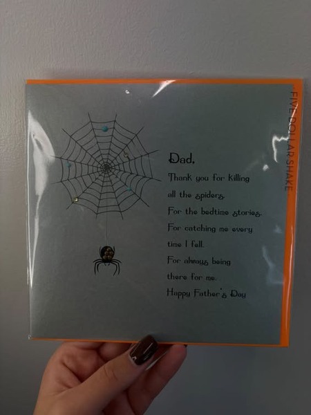 Dad, thankyou for killing all of the spiders