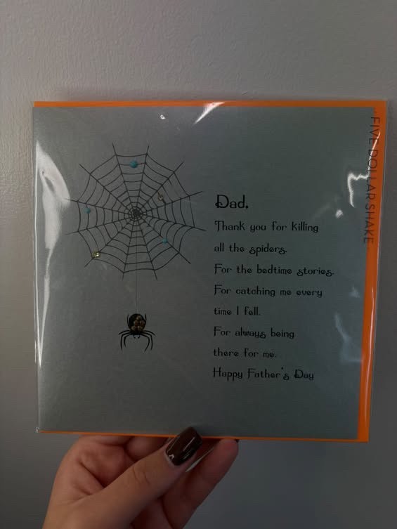 Dad, thankyou for killing all of the spiders