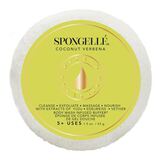 Spongelle Daisy Travel Coconut Verbena