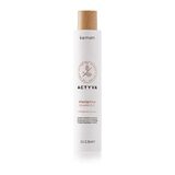 Disciplina Shampoo