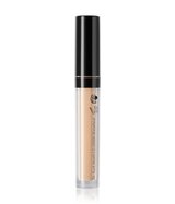 Authentic Concealer light