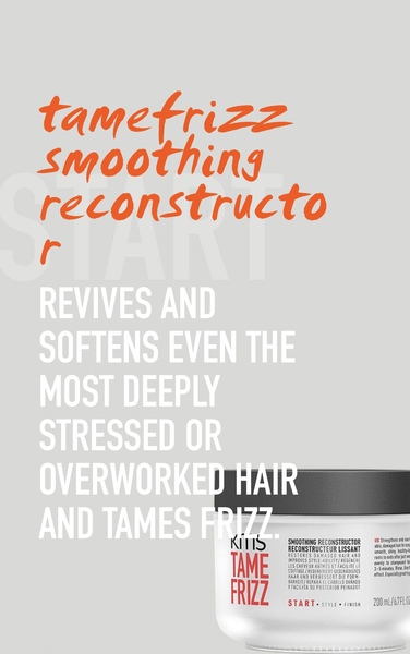 TAMEFRIZZ SMOOTHING RECONSTRUCTOR