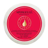 Spongelle Travel Sugar Dahlia