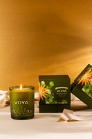 A 2025 The Land of the Light Candle 