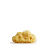 Meeresschwamm groß, 8-10 cm, 1Stk.