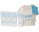 1 The Hydrate Introduction
