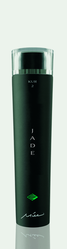 Jade 2