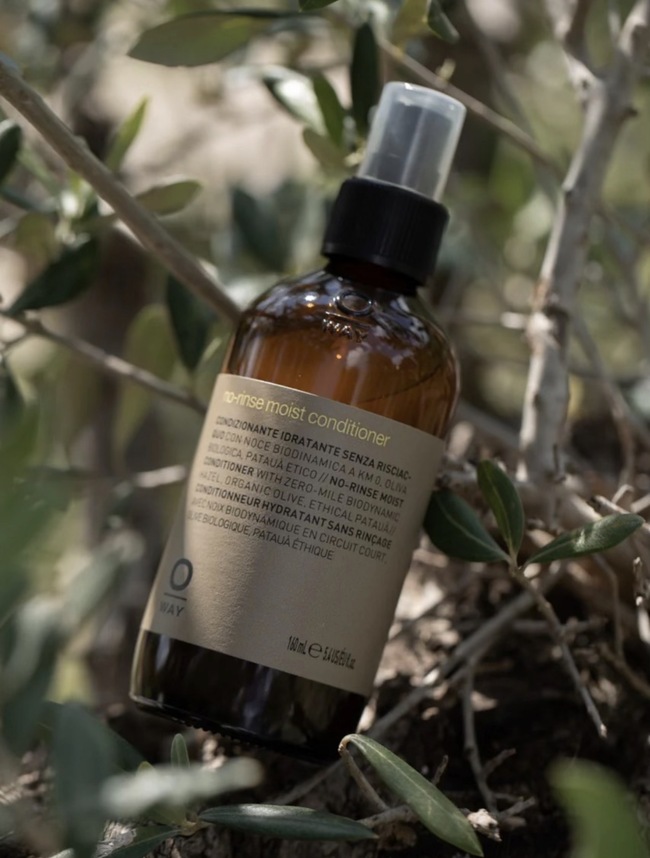 No-rinse Moist Conditioner