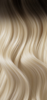 4/1001 R. Kastanienbraun / Platinblond