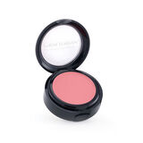 Graftobian Dusty Rose Pro Powder Blush -poskipuna