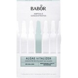 Babor Ampoules Algae Vitalizer