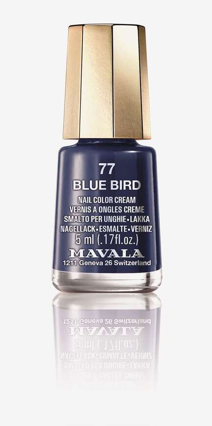  77 Blue Bird
