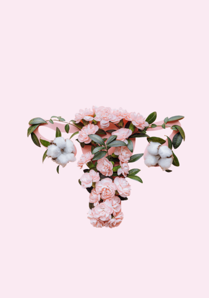 Understanding Menopause + Promoting Client Wellness Online Course 