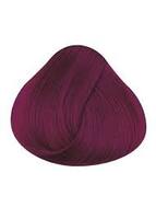 Dark Tulip