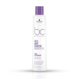 BC Clean Performance - Frizz Away Shampoo