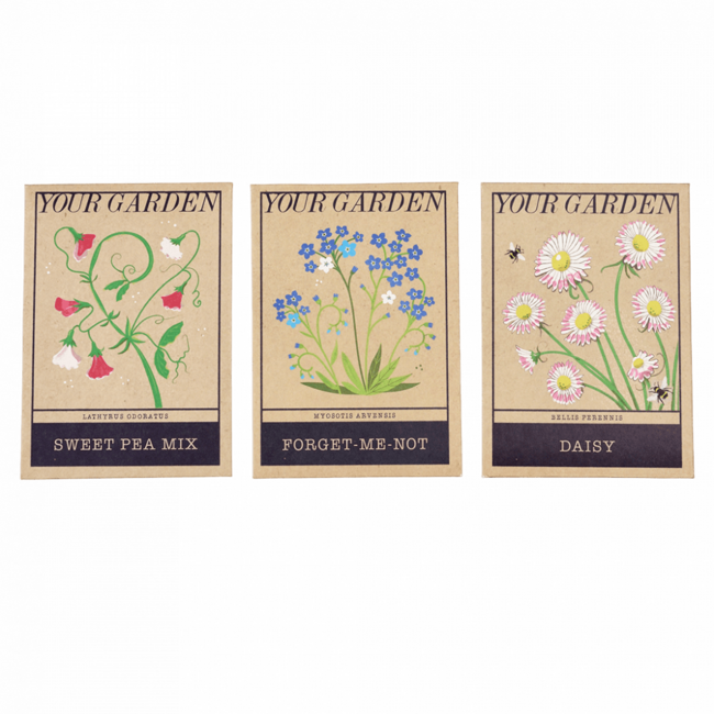 Assorted Your Graden Flower Seeds