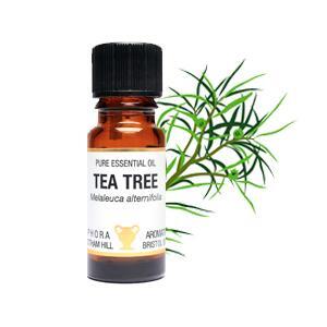 Tea Tree Essential Oil