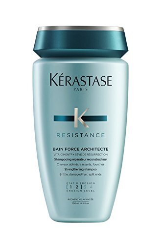 Bain Force Architecte Shampoo