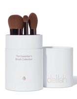 Brush Collection 5 Piece 