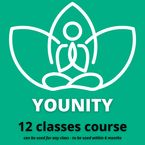 Class x12 course