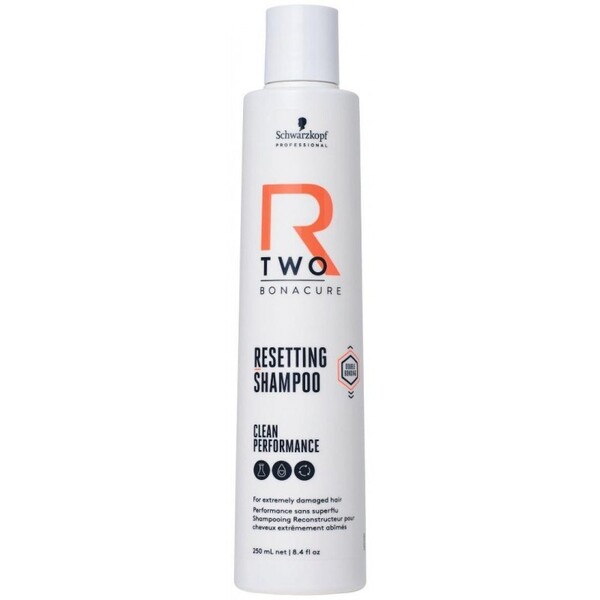 R-TWO Resetting Shampoo