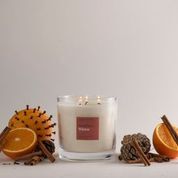 FieldDay Winter Extra Large Candle