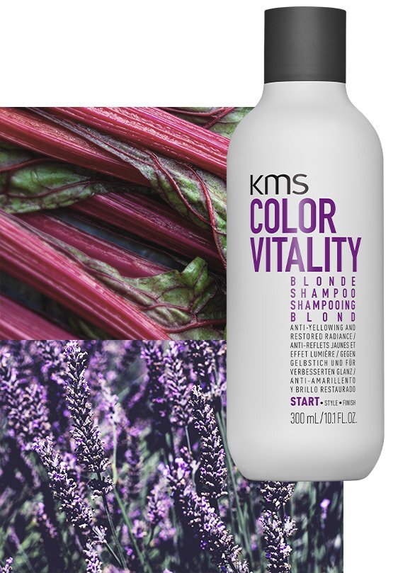 Blonde Shampoo 300ml