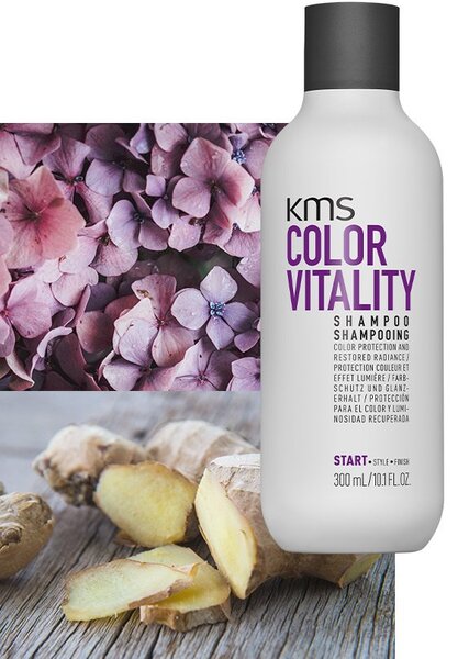Shampoo 300ml Colorvitality