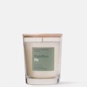 FieldDay Large Candle Fir