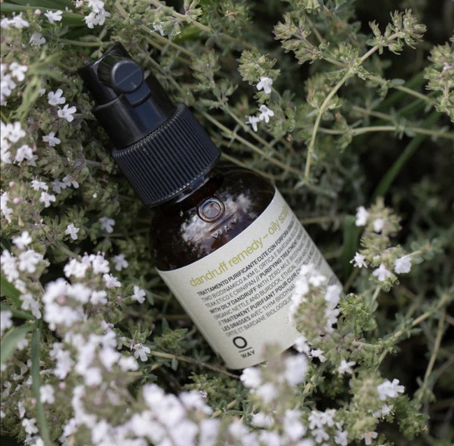 Dandruff Remedy - Oily Scalps