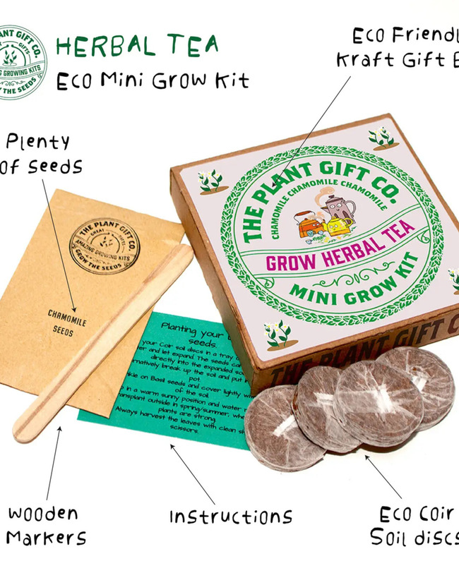Herbal Tea Eco Mini Grow-Kit
