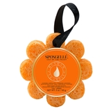 Wild Flower Lily of the Valley