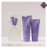 ** XMAS Blonde Collection