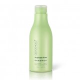 Sulphate Free Shampoo