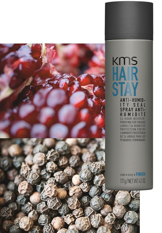 Anti-Humidity Seal 150ml