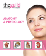 Anatomy + Physiology Online Course