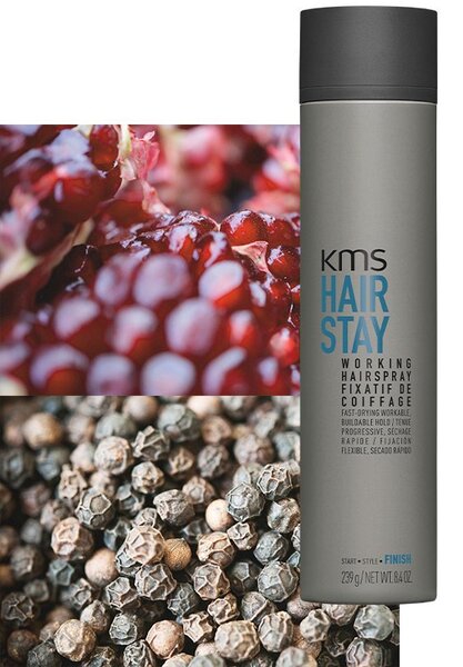 Working Spray 300ml