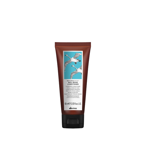 Well Being Conditioner_Travel Size