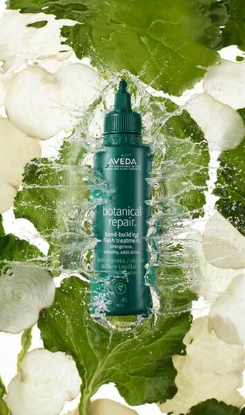Botanical Repair bond building flash treatment
