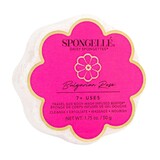 Travel Rose Shower infused sponge